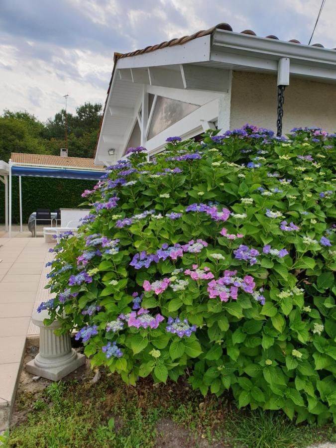 Villa Plaisirs de Lège Esterno foto